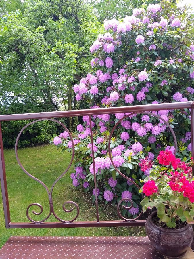 Alster City Garden Villa ฮัมบูร์ก ภายนอก รูปภาพ