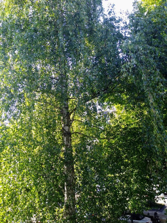 Alster City Garden Villa ฮัมบูร์ก ภายนอก รูปภาพ